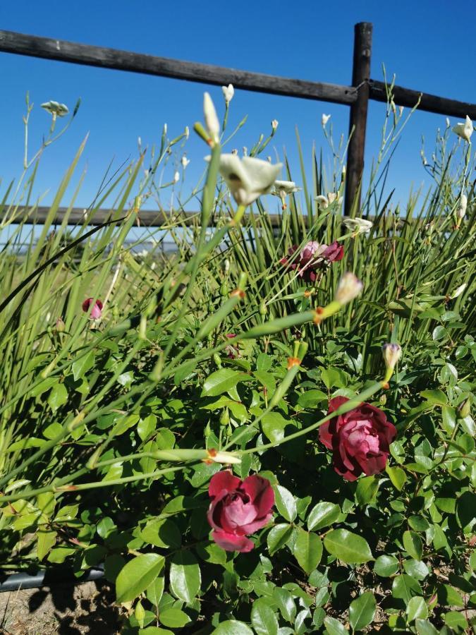 Ross Farms Guest * Wellington