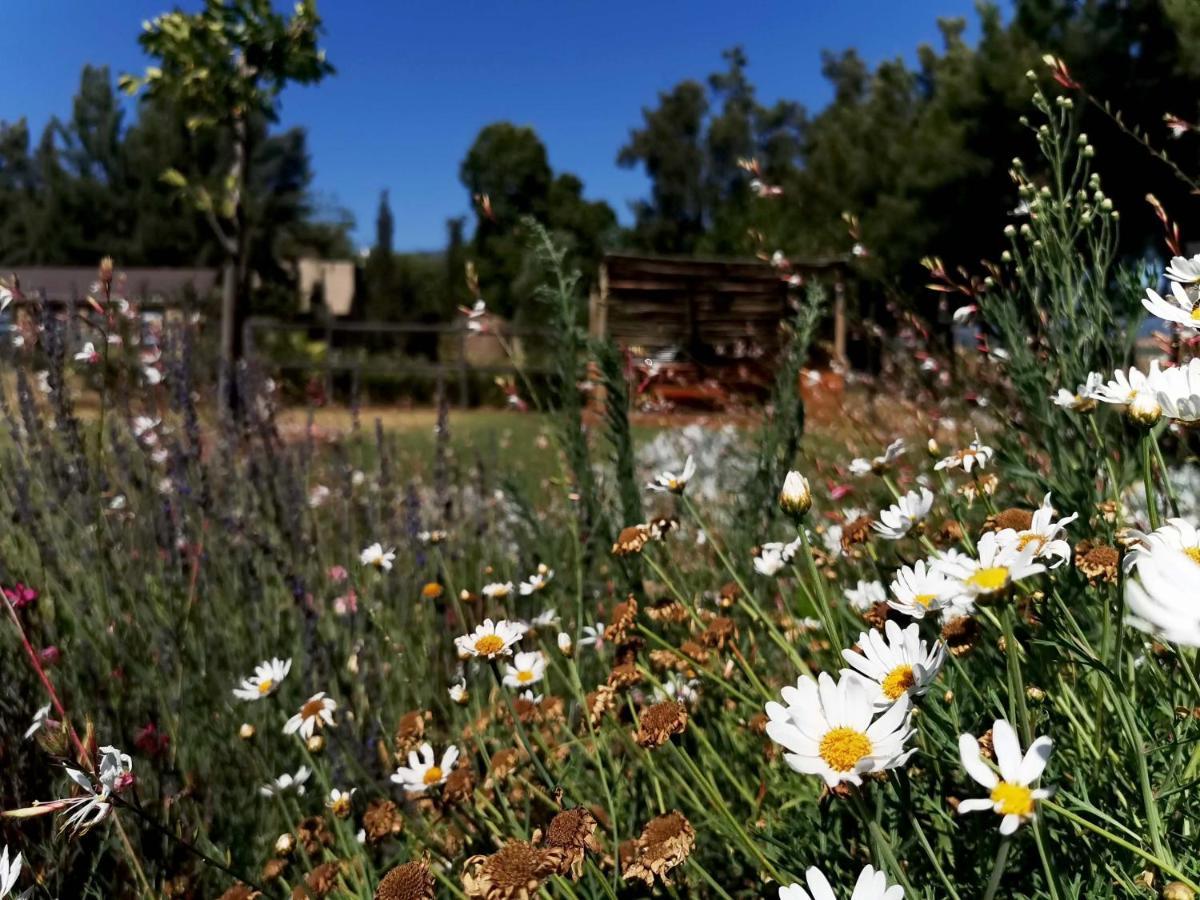 Vakantieboerderij Ross Farms Guest