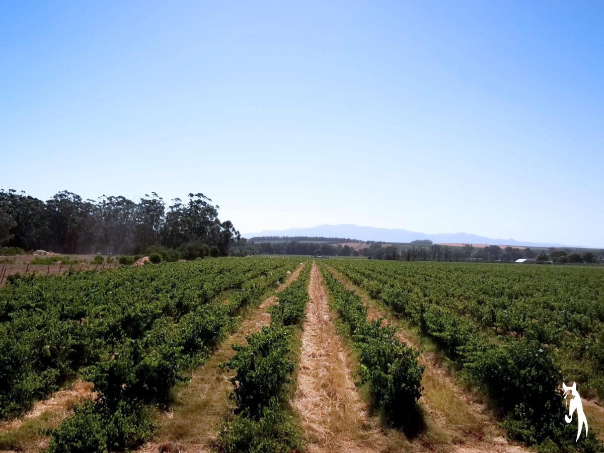 Ross Farms Guest Vakantieboerderij