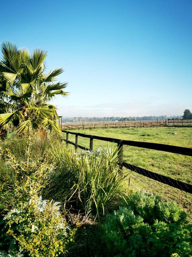 Vakantieboerderij Ross Farms Guest
